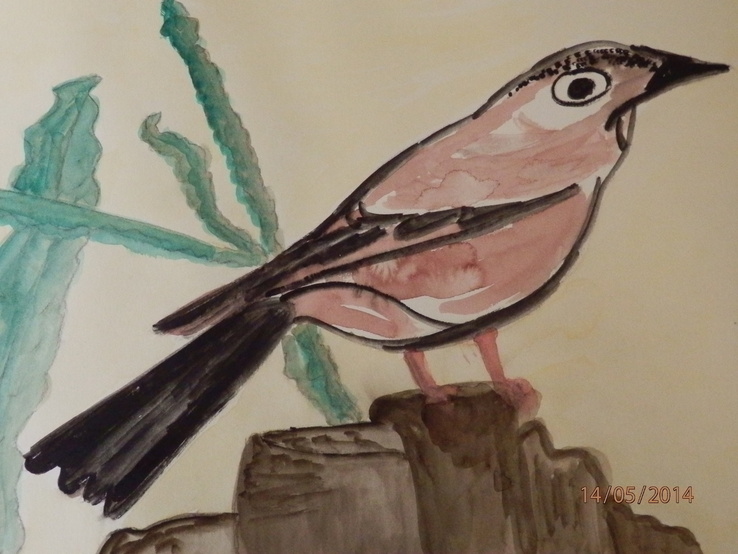 Vögel ( gemalt)