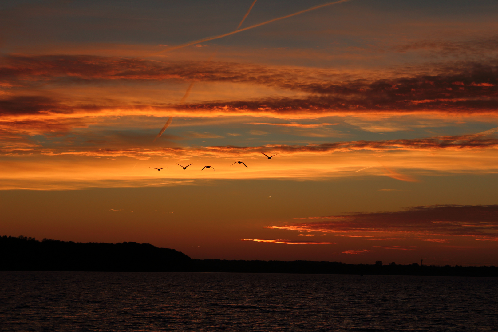 Vögel im Abendhimmel Aschau