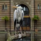 Vögel in der Wilhelma..