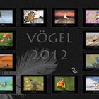 Vögel Kalender 2012