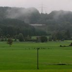 Vögel kennen keine Abstandsregeln