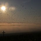 Vögel mit Sonne und Kreuz
