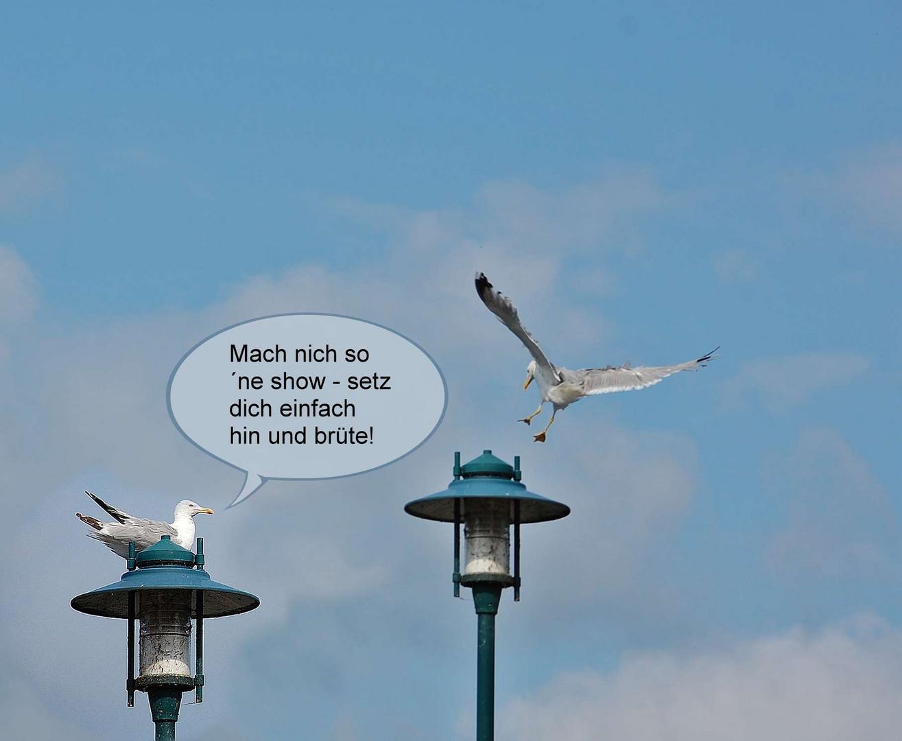 Vögel sind auch nur Menschen ...