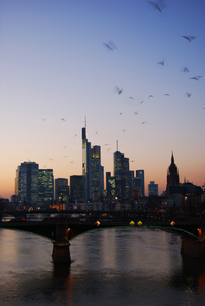 Vögel über Frankfurt