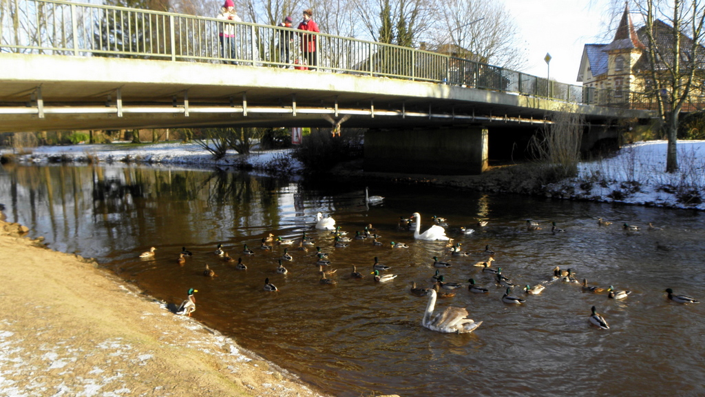 Vögel unter der Brücke