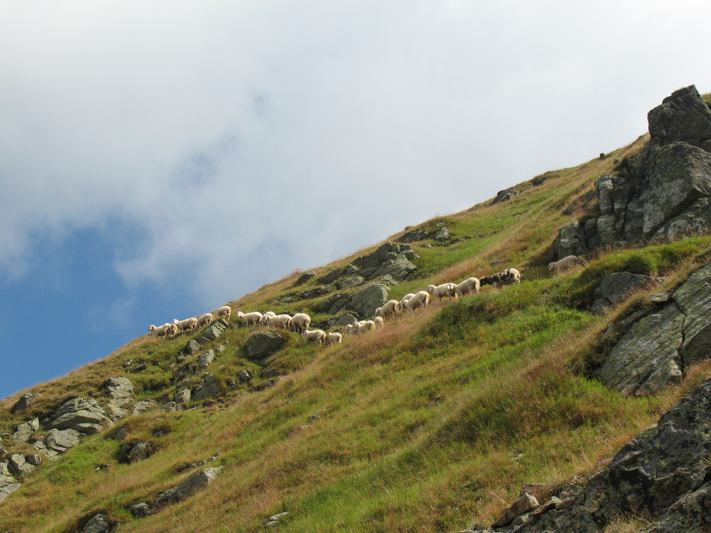 Völkerwanderung