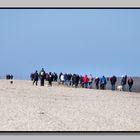 Völkerwanderung am Strand von Schillg