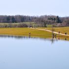 Völkerwanderung zum Eichenersee DSC_7268