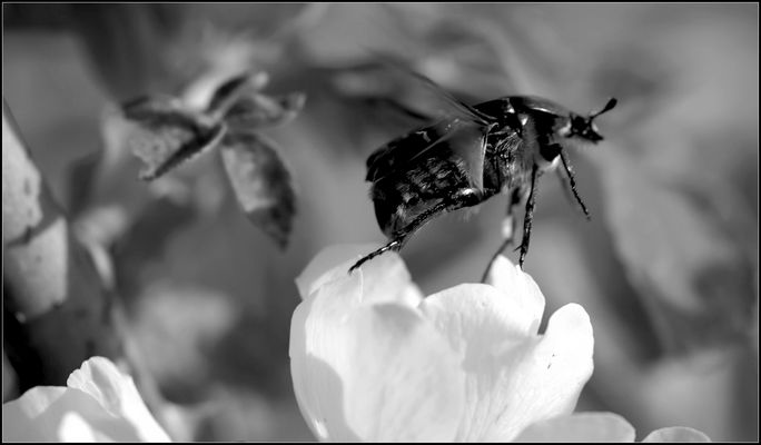 - - Völlig losgelöst von der Erde - -