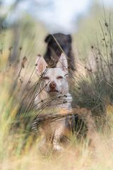 ... völlig schnuppe ...