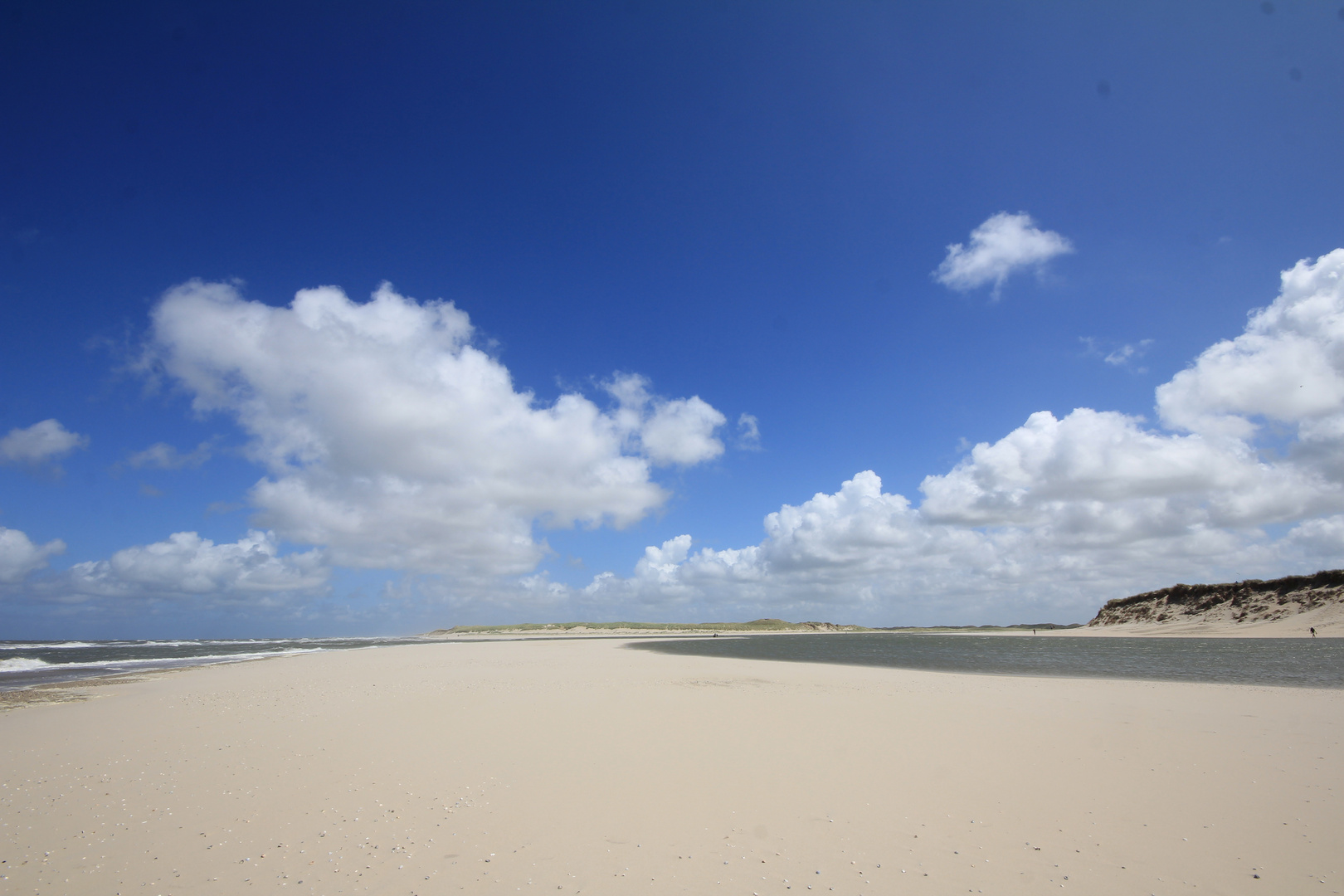 völlig überfüllter strand auf texel............