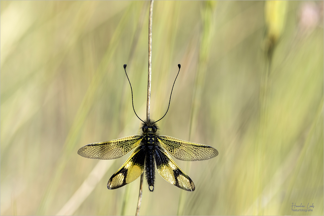 Völlig überraschend 