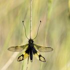 Völlig überraschend 