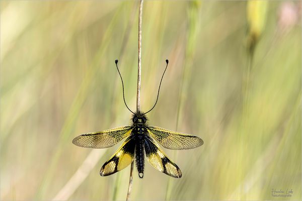 Völlig überraschend 