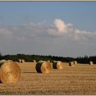 völlig von der Rolle