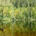 Völlige Stille in der Natur