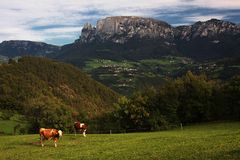 Völs am Schlern