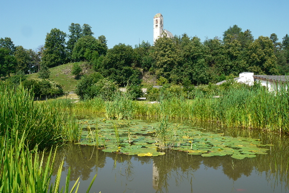 Völs mit St.Peter