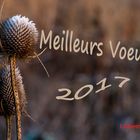 Voeux 2016-loisemic-