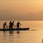 voga alla veneta, Stehruderer im Sonnenuntergang in San Vigilio