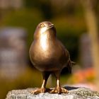 Vogel auf dem Grabstein