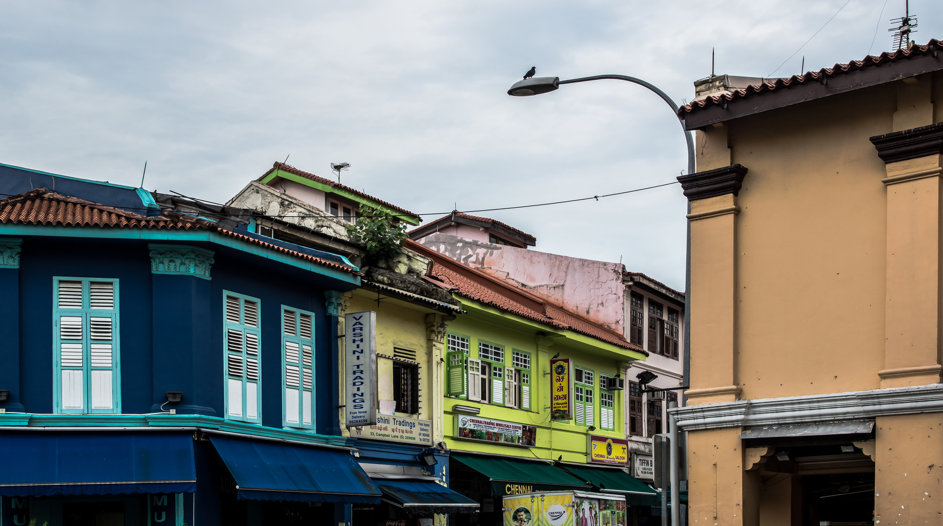 Vogel auf Laterne / Baum aus Haus - alles in Little India SIN