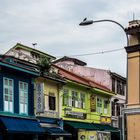 Vogel auf Laterne / Baum aus Haus - alles in Little India SIN