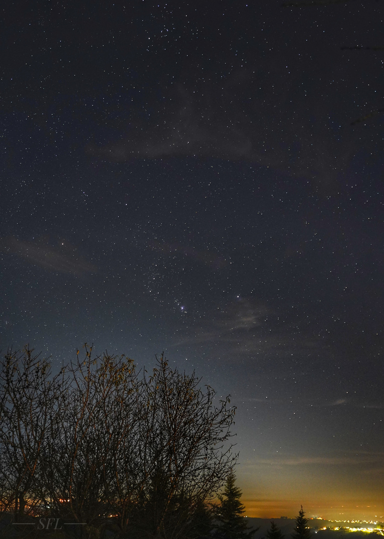 Vogel der Nacht 