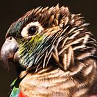 Vogel im Jardin del Papagayo, Spanien