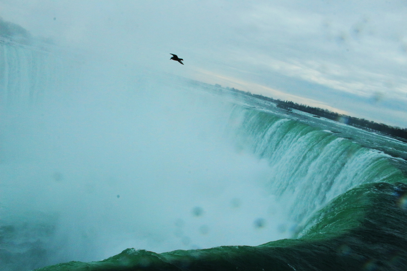 Vogel über den Niagara Fällen