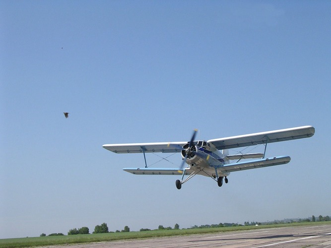 Vogel und die "Anna" beim Start