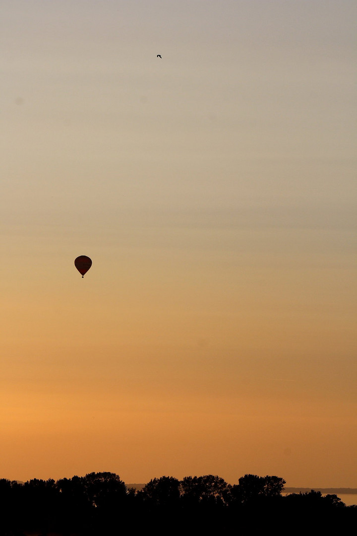 Vogel und Heißluftballon