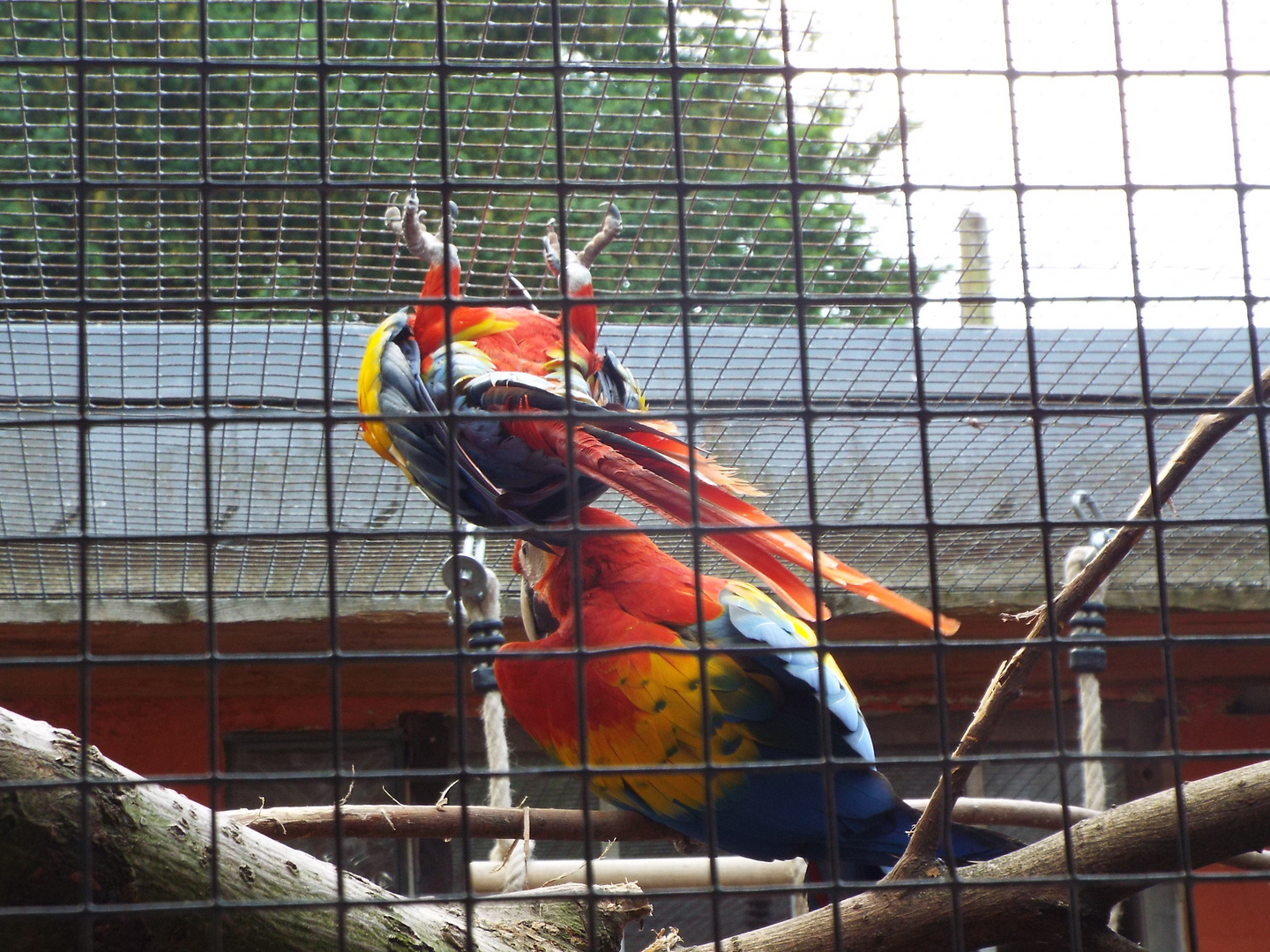 Vogel - und Tierpark Solingen