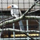 Vogel - und Tierpark Solingen