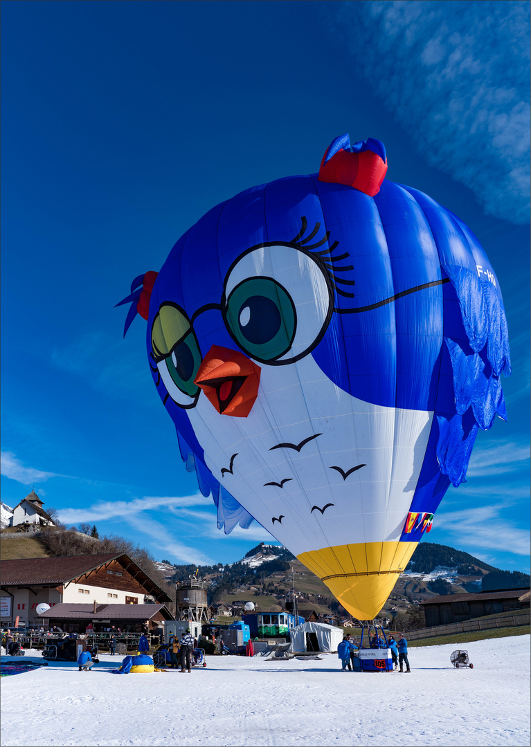 Vogel vor dem abheben