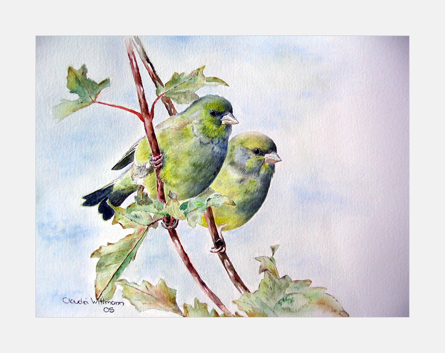 Vogelaquarell I