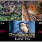 Vogelarten mit Beschriftung