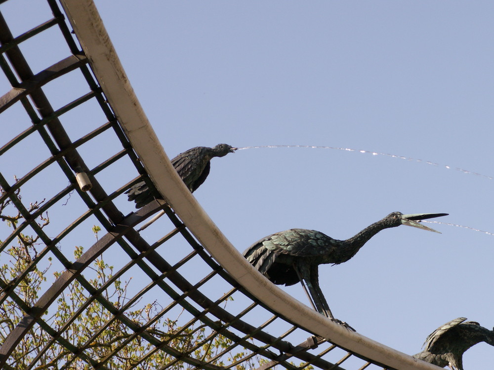 Vogelbad in Schwetzingen