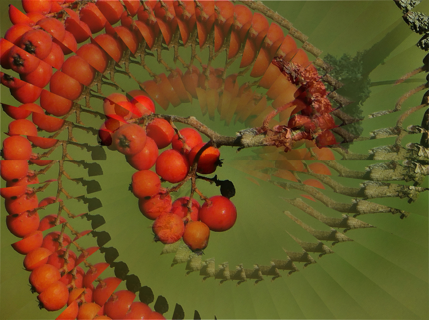 Vogelbeeren mal anders