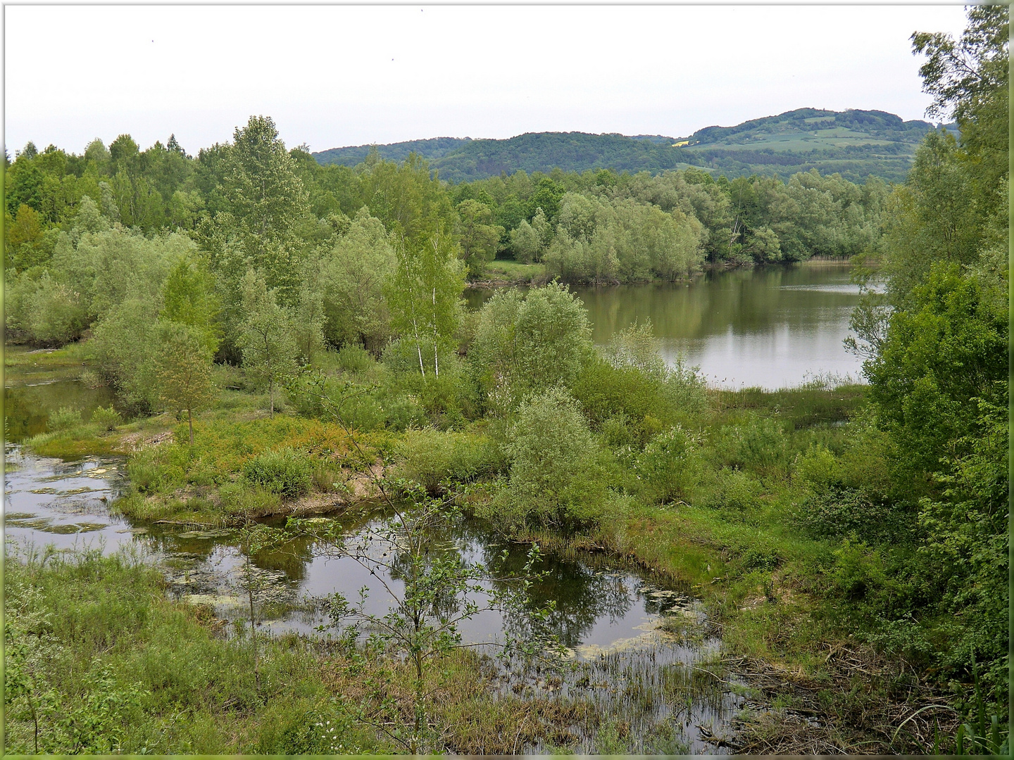 Vogelbeobachtung Heidbrinker Kiessee