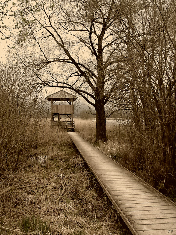 Vogelbeobachtungsturm am Chiemsee