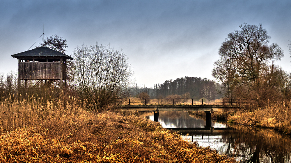 Vogelbeobachtungsturm im Winter