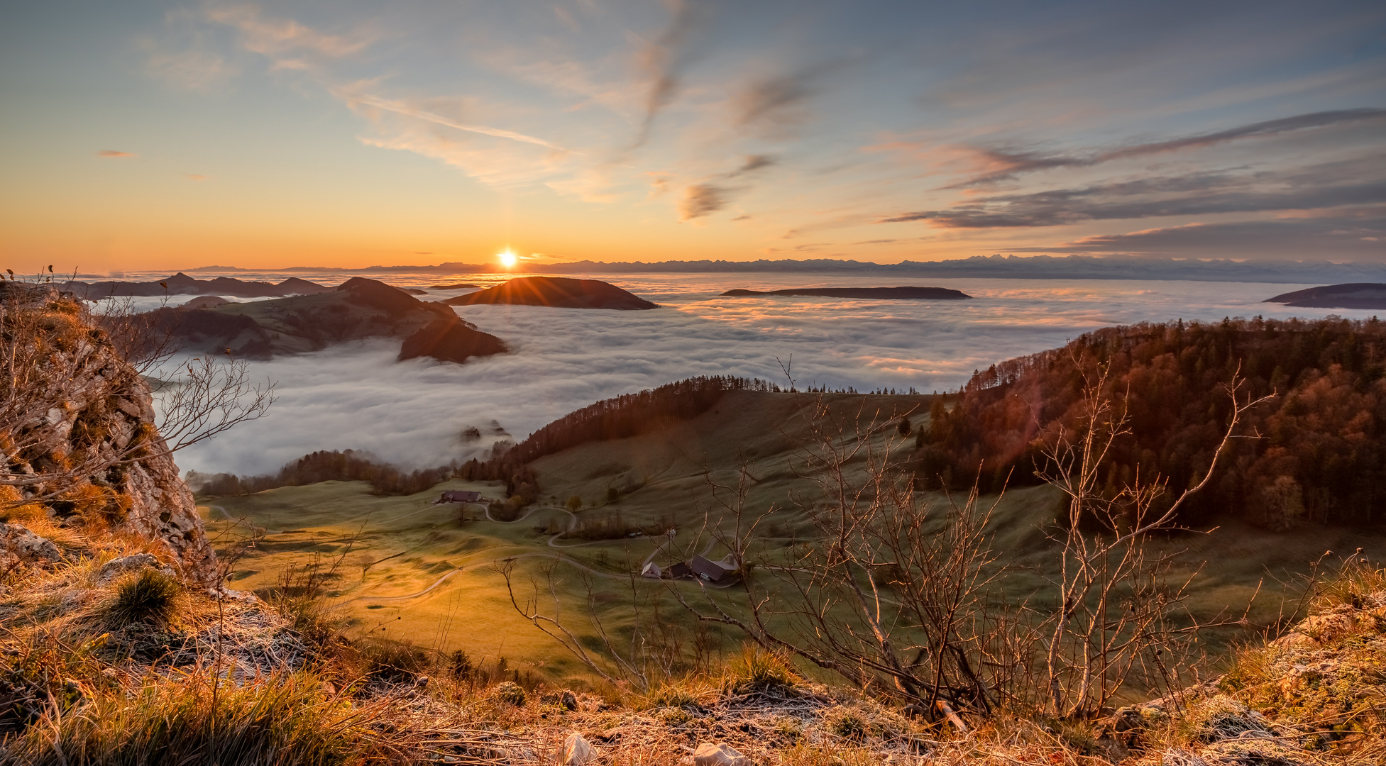 Vogelberg am Morgen