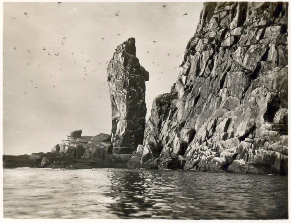 Vogelberg ,er liegt vor Vardø . Foto von 1929.