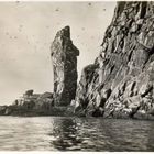 Vogelberg ,er liegt vor Vardø . Foto von 1929.