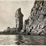 Vogelberg ,er liegt vor Vardø . Foto von 1929.