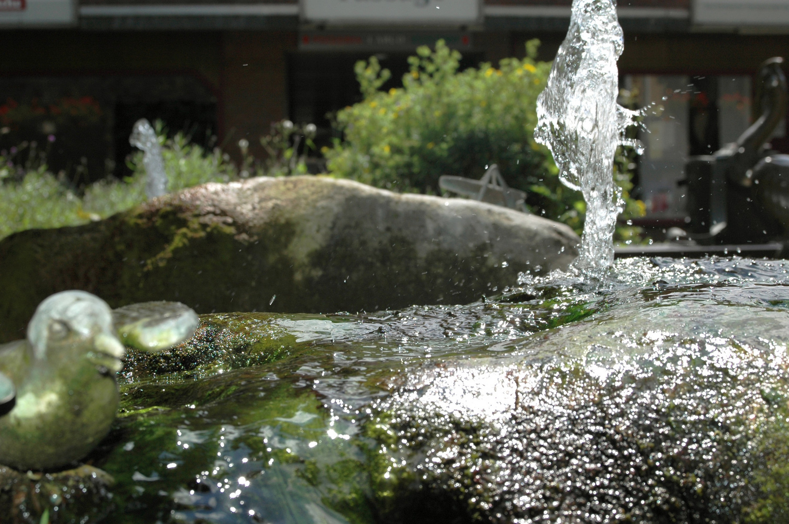 Vogelbrunnen