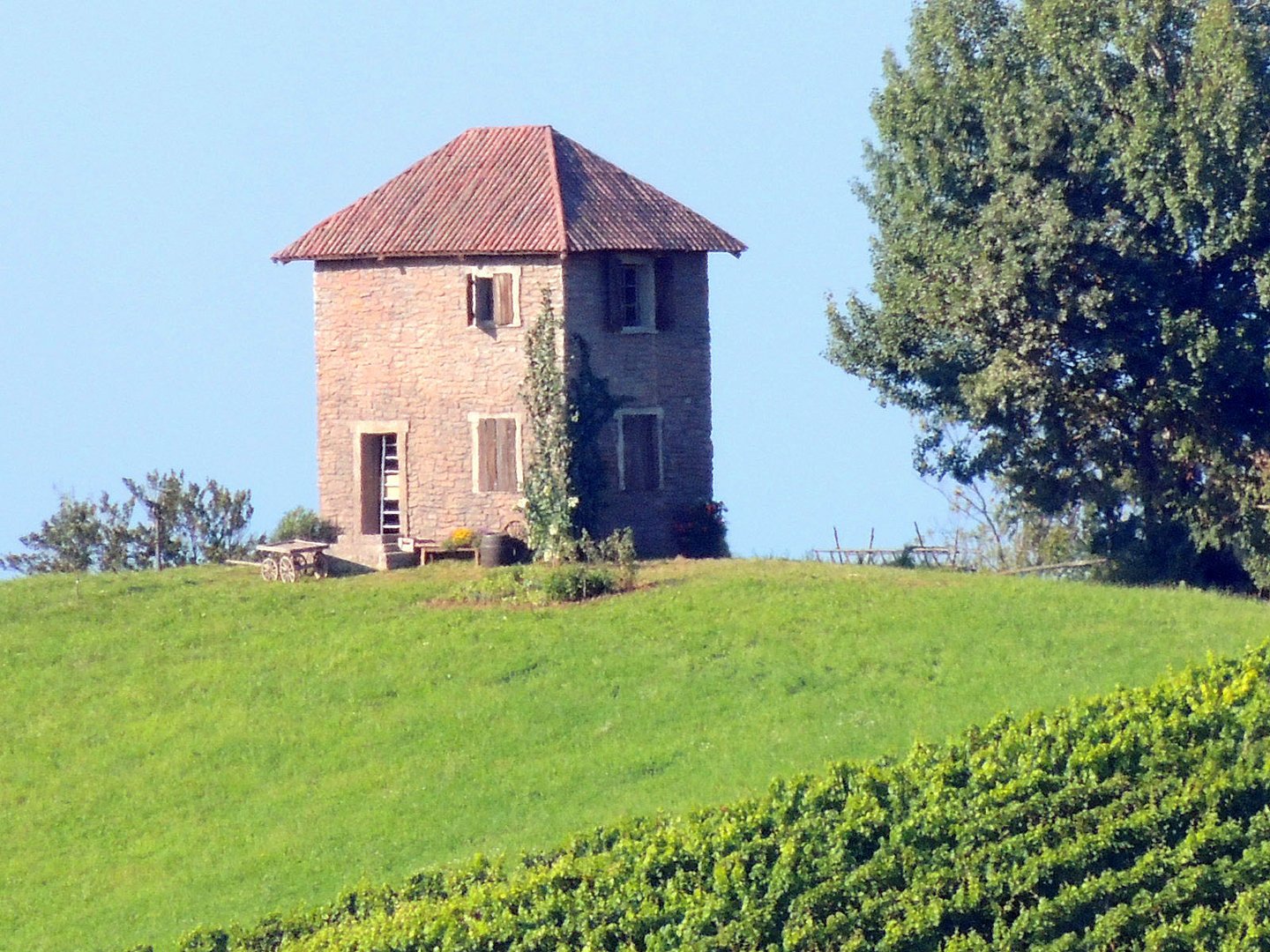 Vogelfänger-haus 1908