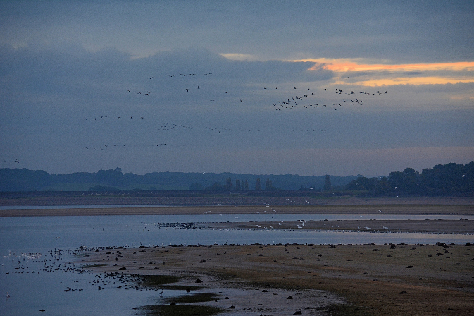 Vogelflug...