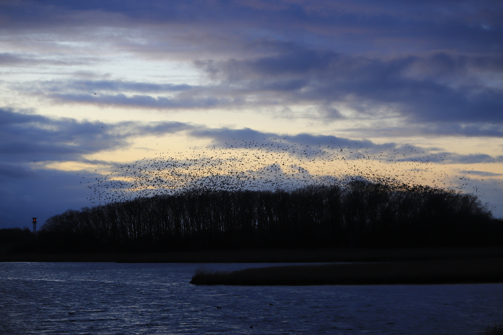 Vogelflug